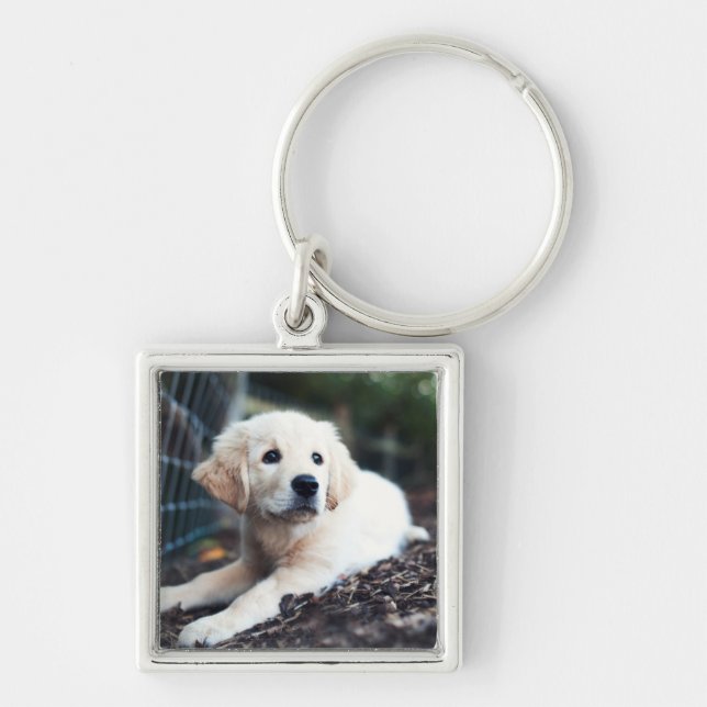 Labrador Puppy Playing In The Garden Keychain (Front)
