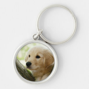 Labrador Puppy Sitting In A Woodland Setting Keychain