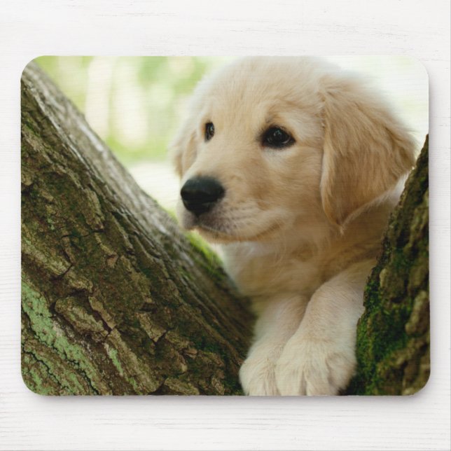 Labrador Puppy Sitting In A Woodland Setting Mouse Pad (Front)