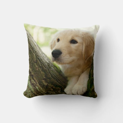 Labrador Puppy Sitting In A Woodland Setting Throw Pillow