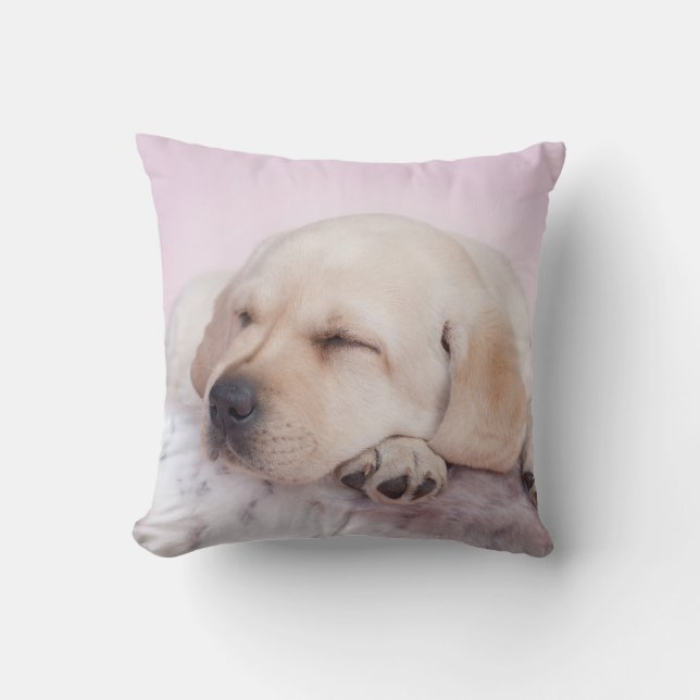 Labrador puppy throw pillow (Front)
