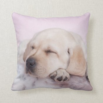 Labrador Puppy Throw Pillow by petsArt at Zazzle