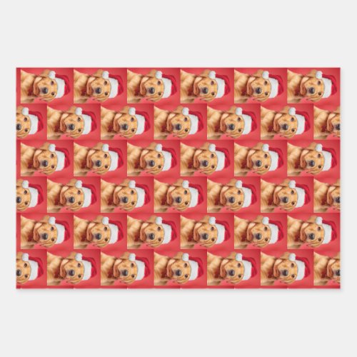 Labrador Puppy Variety Wrapping Paper Sheets
