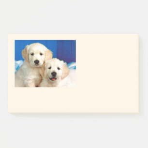 Labrador pups post-it notes