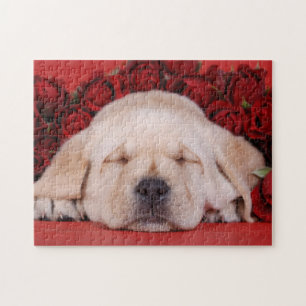 Labrador redriever puppy with red roses jigsaw puzzle