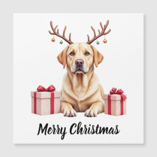 Labrador Reindeer