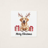 Labrador Reindeer (Front)