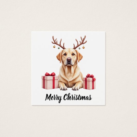 Labrador Reindeer (Front)