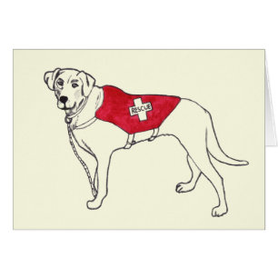 Labrador Rescue Dog Animal Drawing Art Get Well Cards