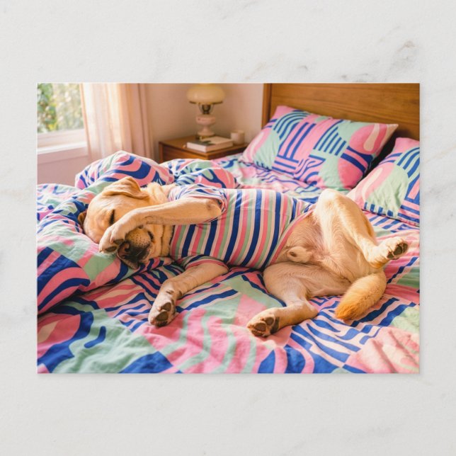 Labrador Resting on Colorful Bedspread Postcard (Front)