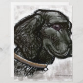 Labrador Retriever (Front/Back)