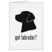 Labrador Retriever (Front)