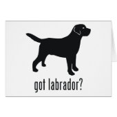 Labrador Retriever (Front Horizontal)