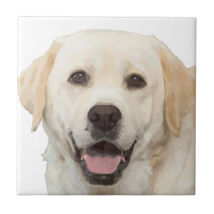 Labrador retriever 1 ceramic tile