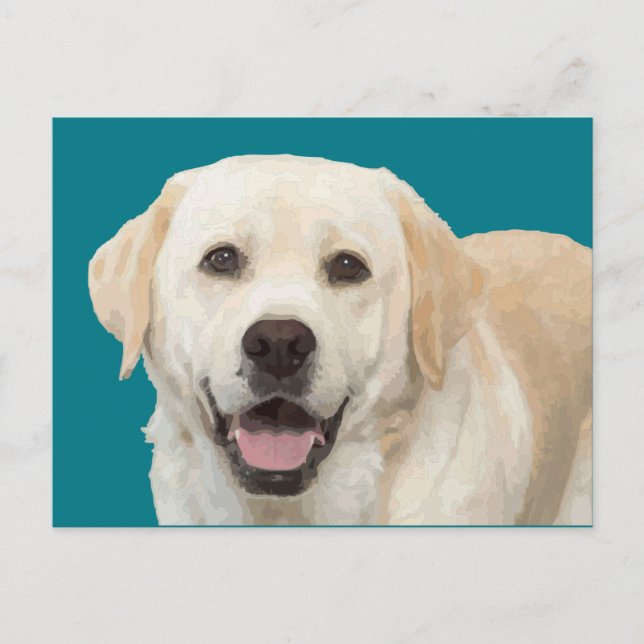 Labrador retriever 1 postcard (Front)