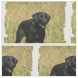 labrador-retriever-25.jpg fabric
