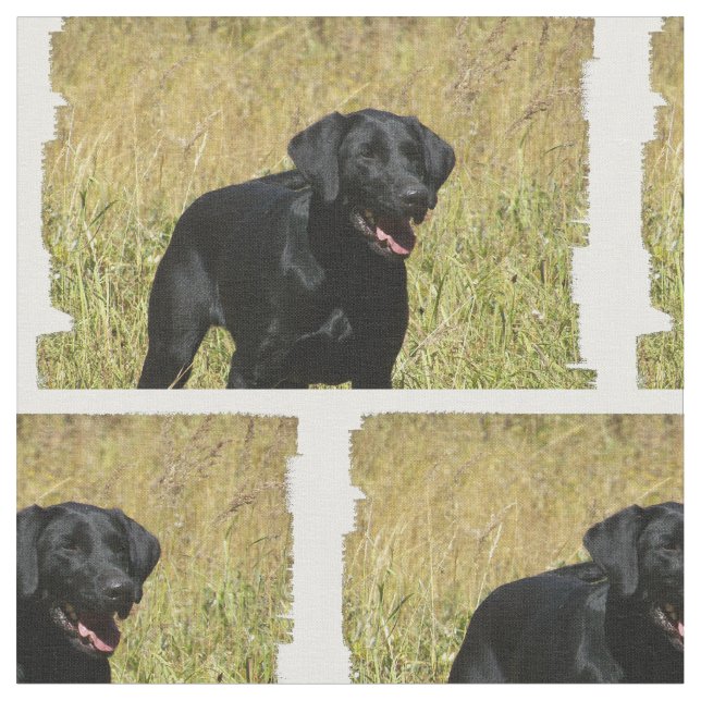 labrador-retriever-25.jpg fabric (Close Up)