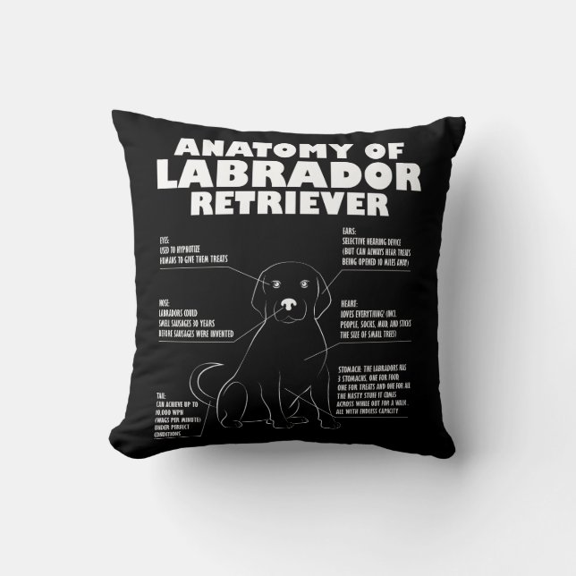 Labrador Retriever Anatomy Funny Dog owner Gift Throw Pillow (Front)