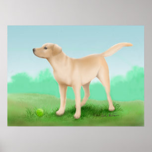 Labrador Retriever and his Tennis Ball Poster