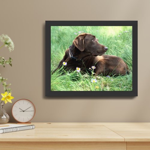 Labrador Retriever And Purple Flowers Framed Art