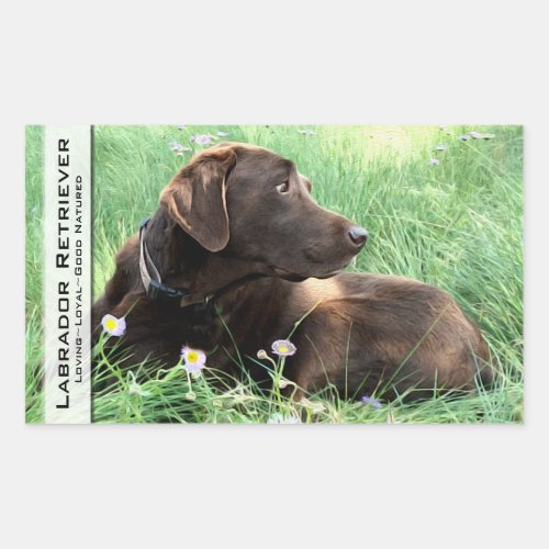 Labrador Retriever And Purple Flowers Rectangular Sticker