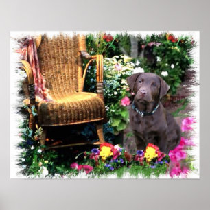 Labrador Retriever Art Print