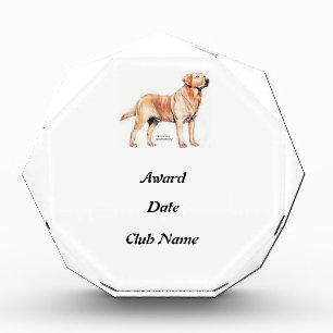 Labrador Retriever Award