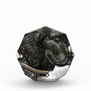 Labrador Retriever Award