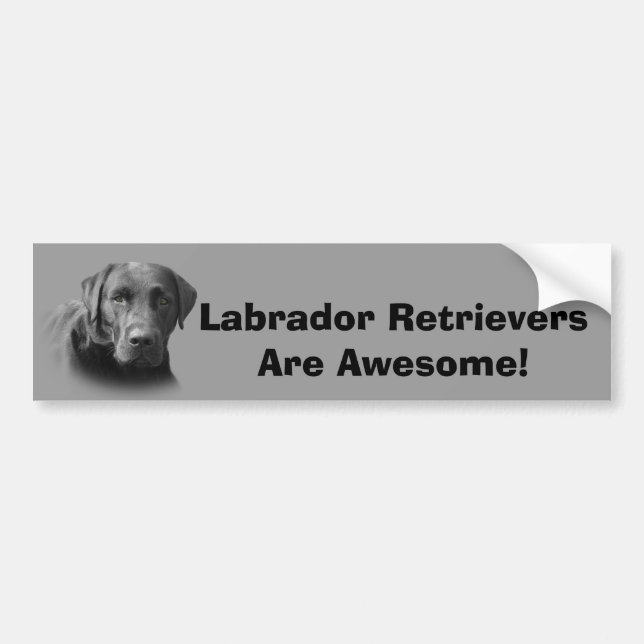 Labrador Retriever Awesome Bumper Sticker (Front)