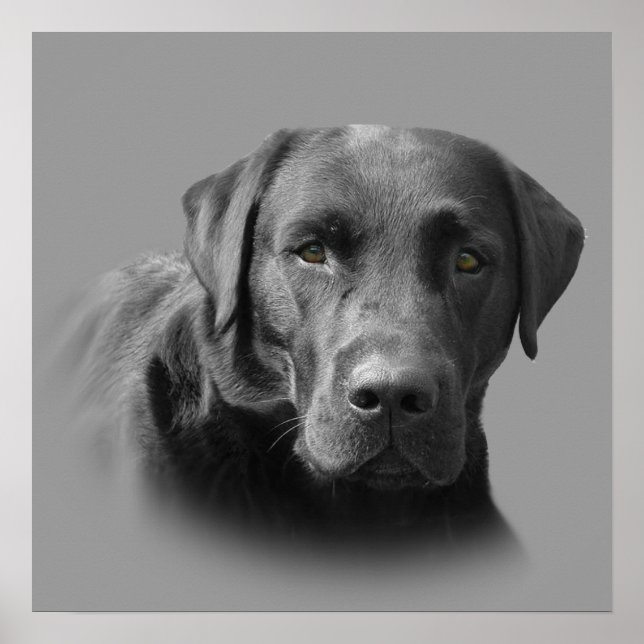 Labrador Retriever Awesome Print (Front)