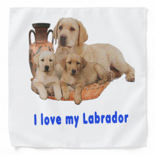 Labrador Retriever Bandana