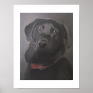 Labrador Retriever Beautiful 11x14 Poster