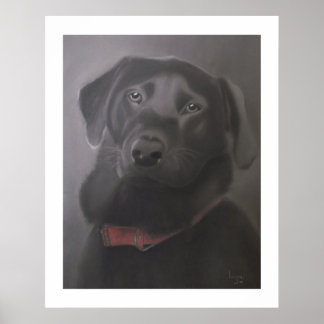 Labrador Retriever Beautiful 24" x 30" Poster