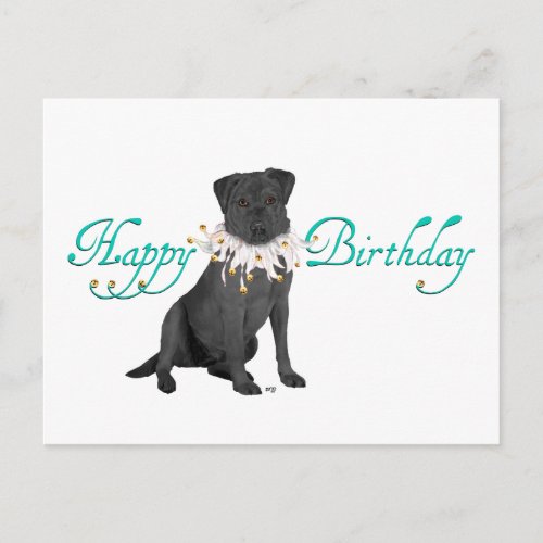 Labrador Retriever Birthday Greetings Postcard