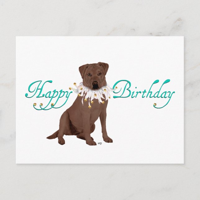 Labrador Retriever Birthday Greetings Postcard (Front)