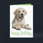 Labrador Retriever Birthday Yellow Lab Puppy Dog Card<br><div class="desc">Nothing makes a happy birthday better than the love of a Labrador Retriever! Whether you're celebrating a devoted fur mom or a passionate dog-loving mom, this adorable yellow lab puppy card is perfect for sending warm wishes. Featuring a cute canine that embodies all the charm Labradors bring, it’s a heartfelt...</div>