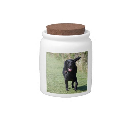 Labrador Retriever black dog beautiful photo gift Candy Jar