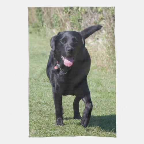 Labrador Retriever black dog beautiful photo gift Kitchen Towel