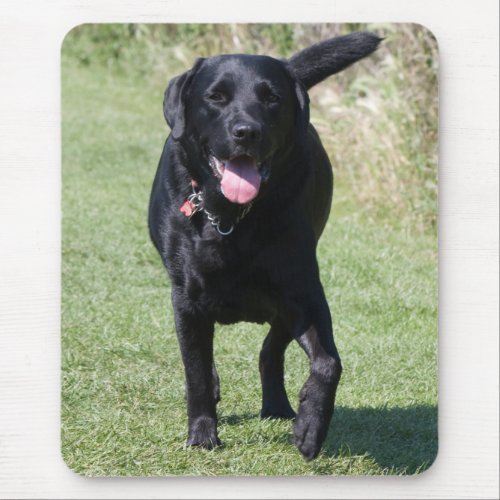 Labrador Retriever black dog beautiful photo gift Mouse Pad