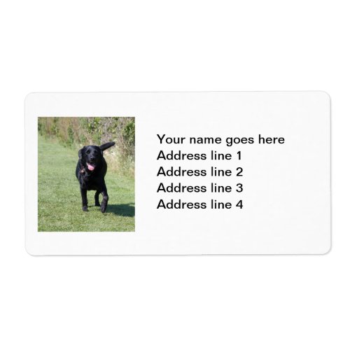 Labrador Retriever black dog custom address labels