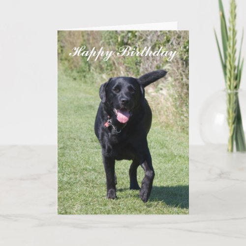 Labrador Retriever black dog custom birthday card