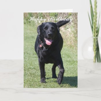 Labrador Retriever Black Dog Happy Card by roughcollie at Zazzle