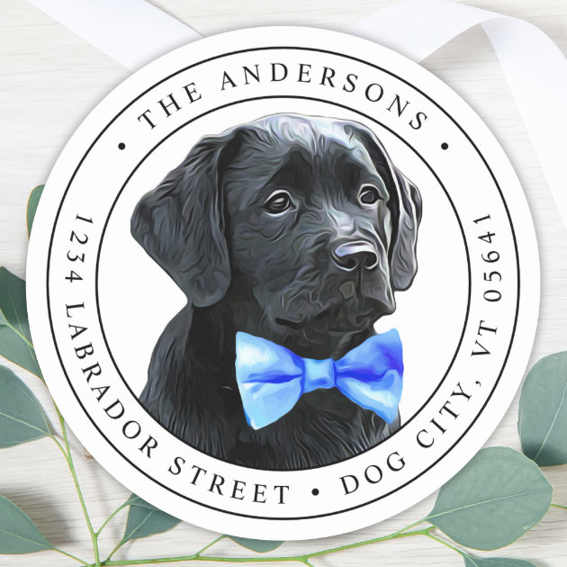 Silver bow sale labradors