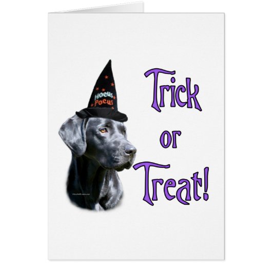 Labrador Retriever (black)Trick Cards (Front)
