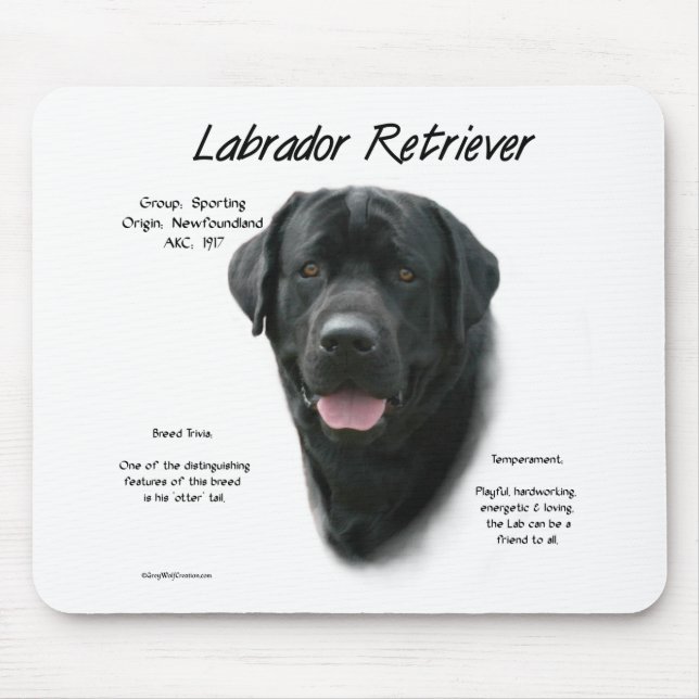 Labrador Retriever (blk) History Design Mouse Pad (Front)