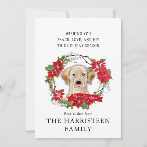 Labrador Retriever blond Poinsettia Christmas Holiday Card