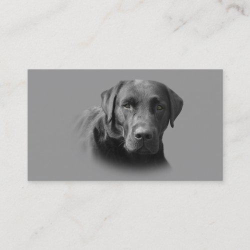 Labrador Retriever Breeder Business Card