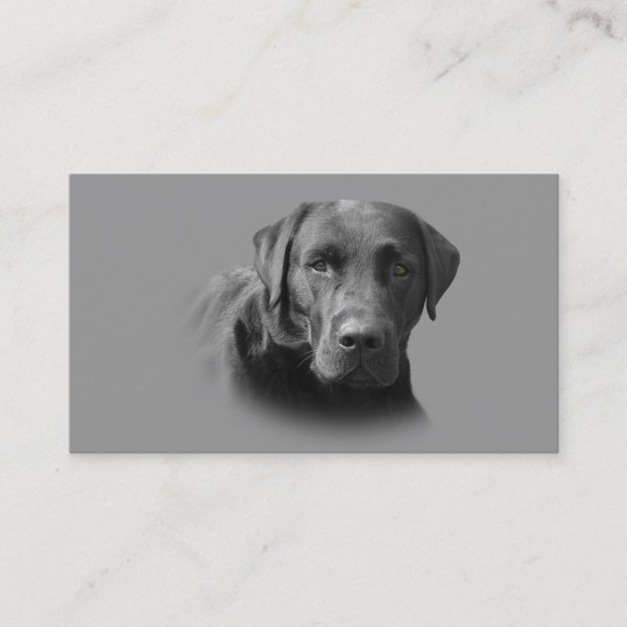 Labrador Retriever Breeder Business Card | Zazzle.com