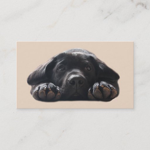 Customizable Labrador Retriever Breeder Business Card