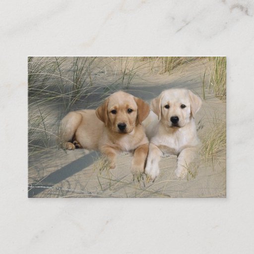 Customizable Labrador Retriever Breeder Business Card